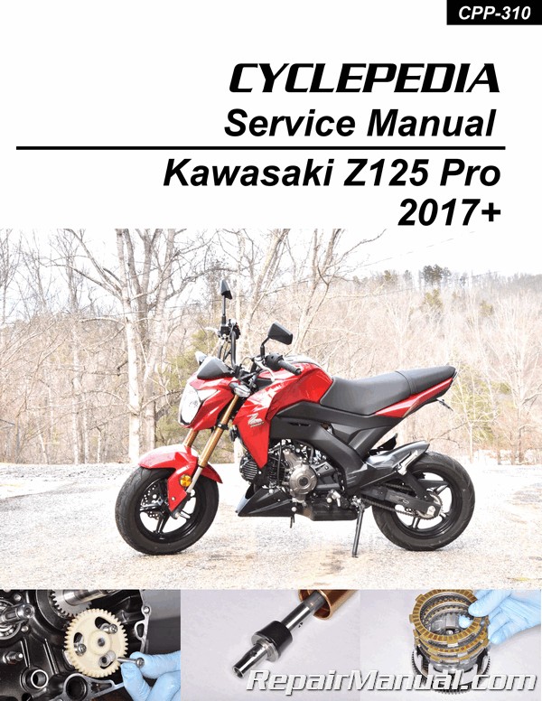 2017 Kawasaki Z125 Pro Printed Motorcycle Service Manual