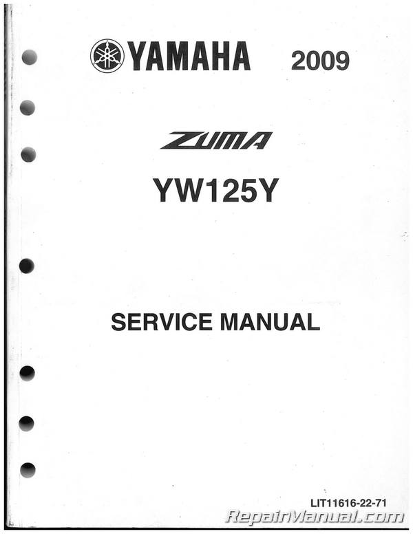 Yamaha Air Filter Cleaner Element YW125 YW 125 Zuma BW BeeWee Scooter Bee Wee
